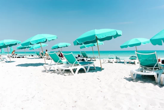 Discover the Best Attractions and Activities in Miami, FL: A Guide for Travelers